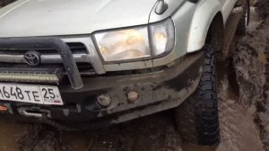 Сурф 185 в болоте