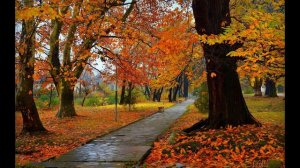 песня   "Не бьются в такт, уже сердца"