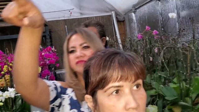 TOURING ORCHID HAVEN WITH DIFFERENT KINDS PHALAENOPSIS ORCHIDS BY ARTHUR MOYA AT NORTH HILLS, CA смотреть онлайн