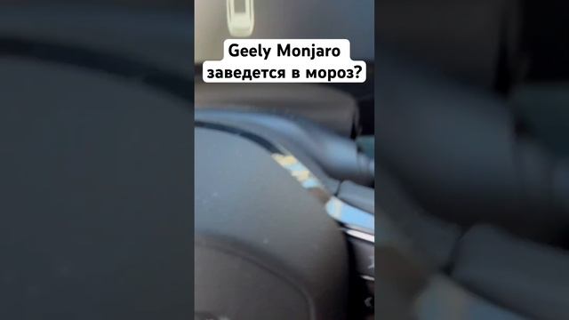 GEELY Monjaro заведется в мороз? Всю ночь температура была ниже -40. #geely #monjaro #автоподбор смотреть онлайн