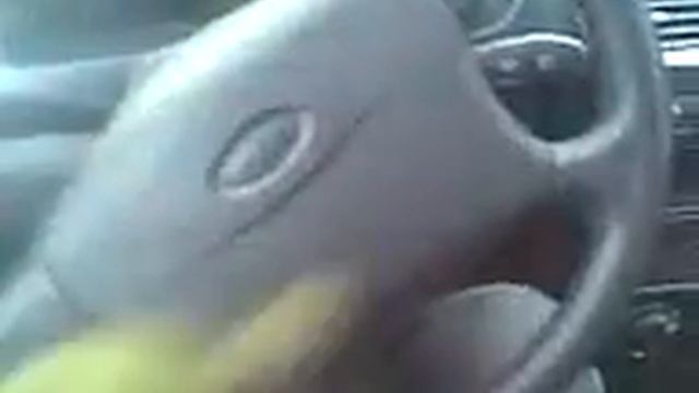 Видео019 смотреть онлайн