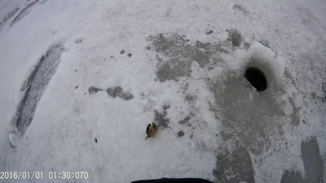 Зимняя рыбалка.Открытие сезона 2017 смотреть онлайн