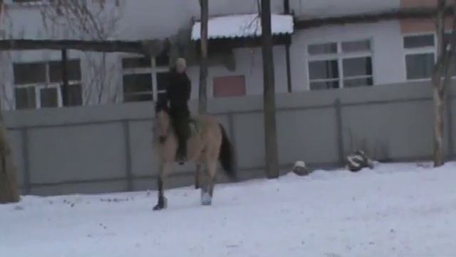 Верховая езда с оружием в стиле либерти:) смотреть онлайн