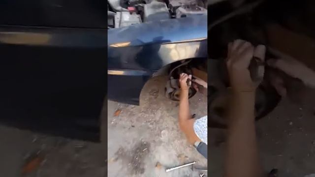 Автосервис у Рустэма ,замена передних стоек Kia Spectra