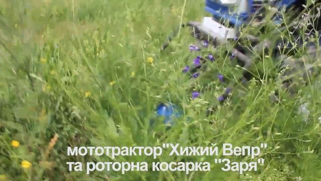 Вперше випробовуємо мототрактор "Хижий Вепр" та роторну косарка"Заря"до мототрактора. смотреть онлайн