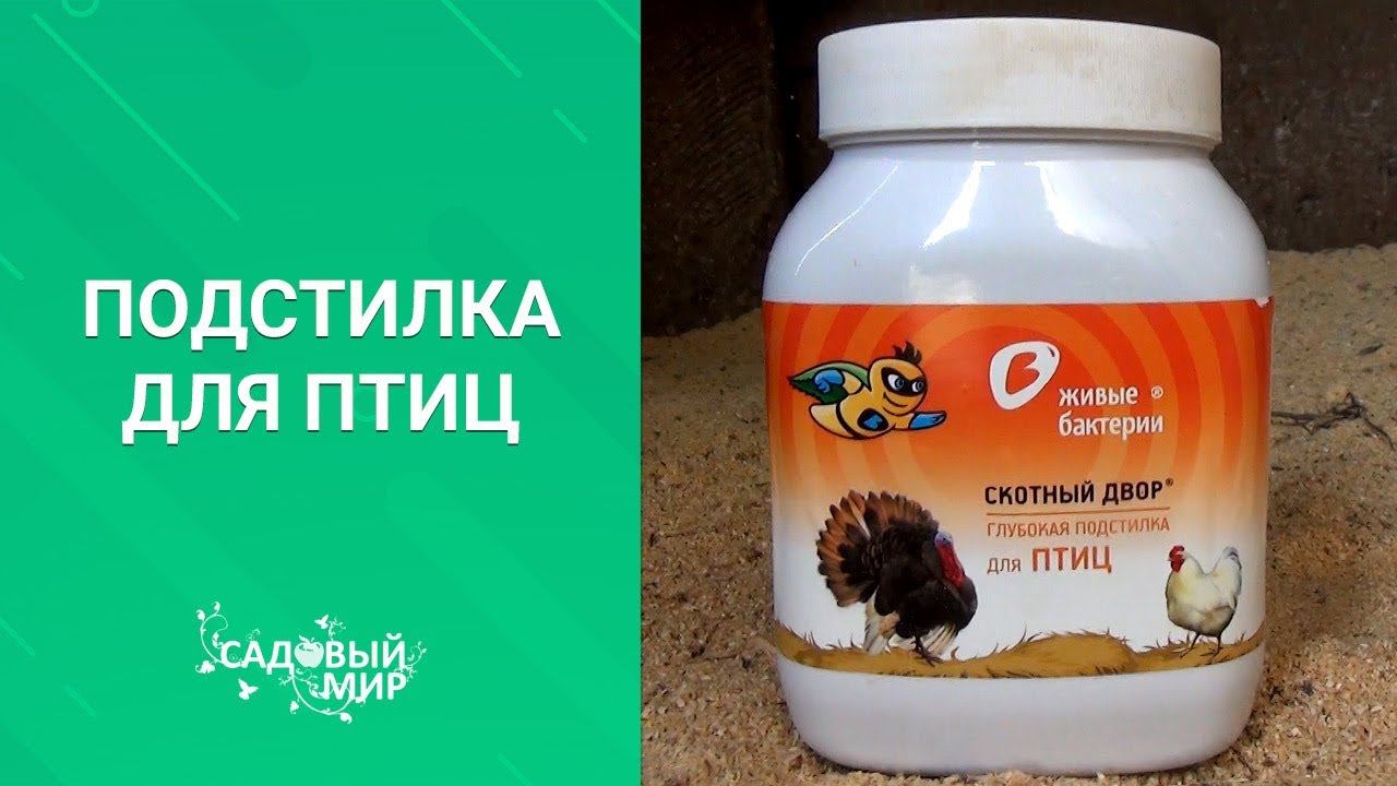 Вся правда о глубокой подстилке для домашних птиц. смотреть онлайн