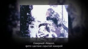 Снежный человек - реальные фото и видео! Подпишись и поставь лайк!