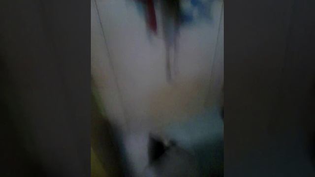 У кота стеклянные глаза смотреть онлайн