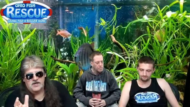 Stay Fishy Friday 5/29/20 w/willstar7 #teamtracy смотреть онлайн