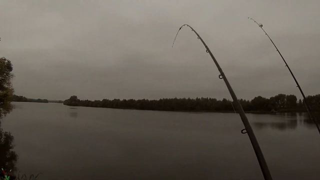 поймали самого большого сома смотреть онлайн