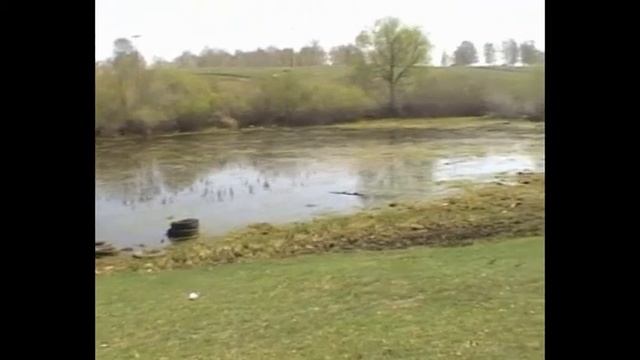 Молодежные игры на природе смотреть онлайн