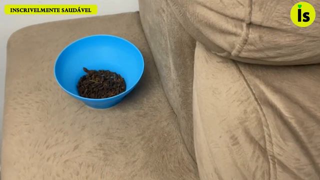 Isso Elimina 🦟 Baratas, 🦗 Mosquitos e Moscas em Menos de 3 Segundos! смотреть онлайн