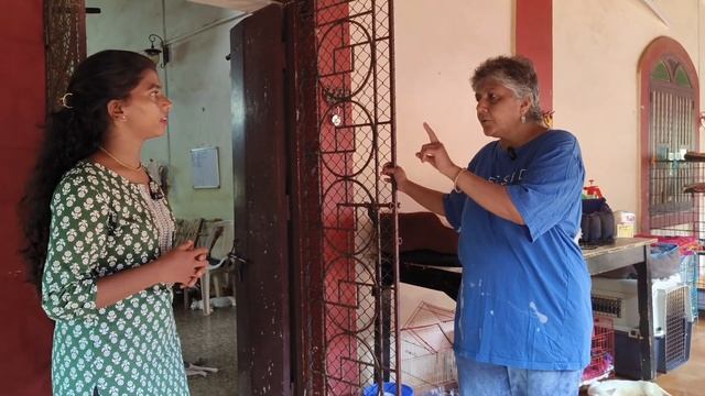 142 Cats ? & 04 Dogs | Untold Story of Cat Sanctuary Goa by Sonia Smart | English | #Ep_09 смотреть онлайн