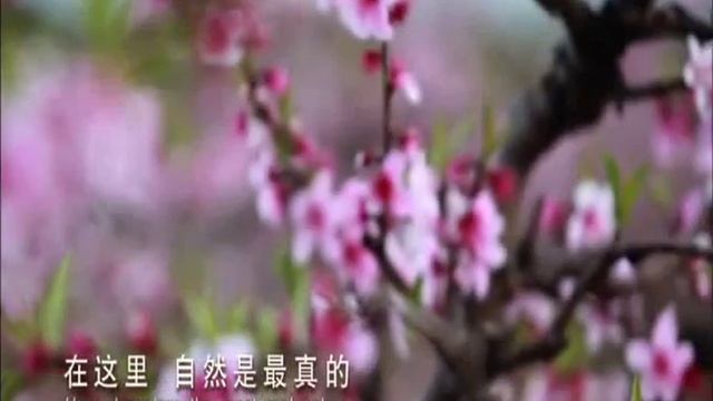 Shanghai Pudong District Tourism Board смотреть онлайн