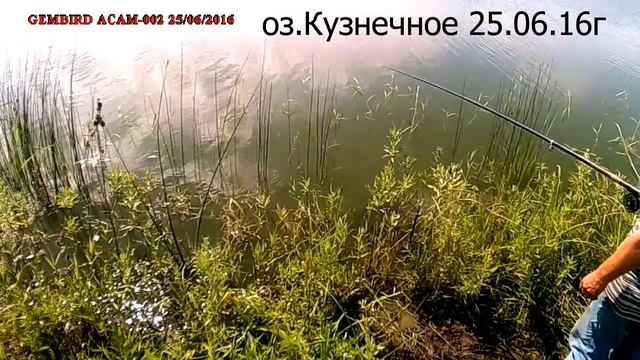 РЫБАЛКА В ОРЕНБУРЖЬЕ -оз.Кузнечное 25.06.16 смотреть онлайн