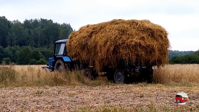 МТЗ 80  Уборка соломы