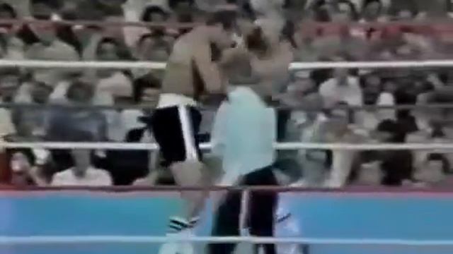 Ken Norton Lorenzo Zanon 1977 09 14 смотреть онлайн
