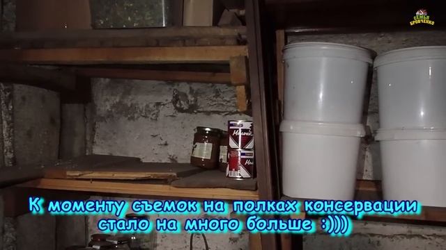 Наш подвал и консервация. Уборка и обзор. (09.22г.) Семья Бровченко. смотреть онлайн