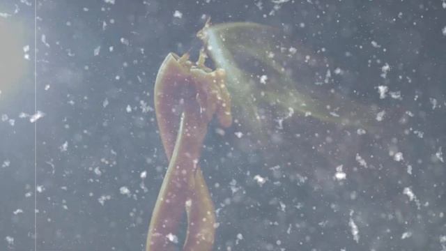 Любимая песня! Песни для души! Свеча горела (COVER). смотреть онлайн