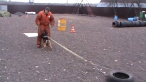 Тренировки на защиту Сергея Богданова