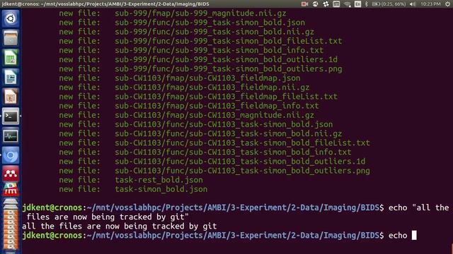 Adding git version control to your BIDs dataset смотреть онлайн