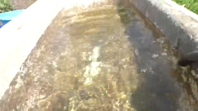 Как нагреть воду быстрее в ванной для полива How to heat water faster in a watering bathtub смотреть онлайн