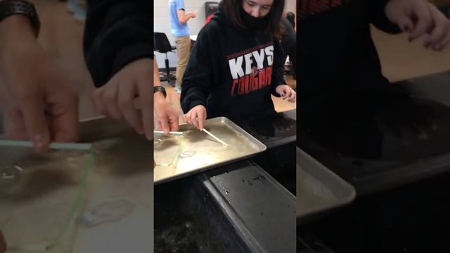 Bubble Lab 3 смотреть онлайн