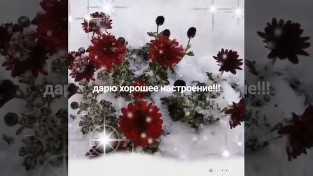 Самое снежное видео! смотреть онлайн