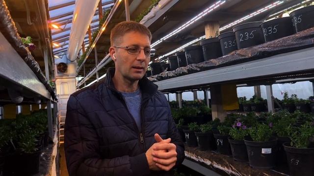 Вегетативное черенкование - запуск направления ? смотреть онлайн