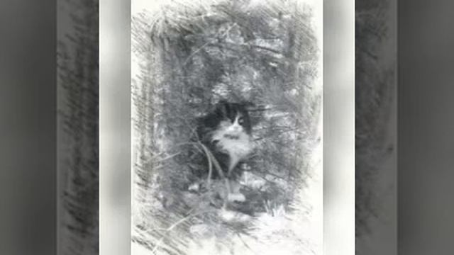 1 Род, Родовые связи и корни смотреть онлайн