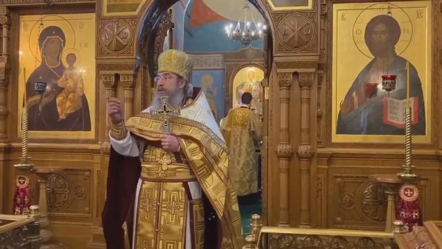 Слово о благодарности! 20 12 20 смотреть онлайн
