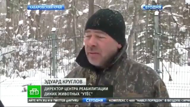 Отель Берлога смотреть онлайн