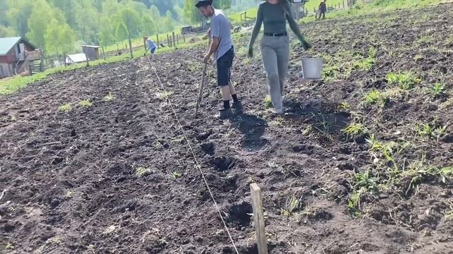 Понедельник с посадками!! смотреть онлайн