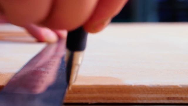 КАК МЫ СПАСАЛИ ДЕТЁНЫША БЕЛОЧКИ... смотреть онлайн