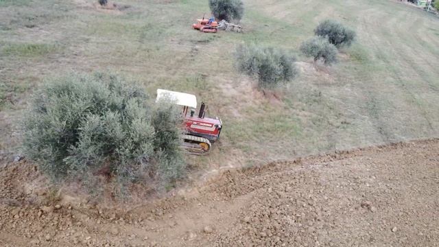 EXTREME PLOWING ON HILLS. NEW HOLLAND 160-55 & FIAT 120C + 2X TRIVOMERI CORMAGRI. (DI BATTISTA). смотреть онлайн