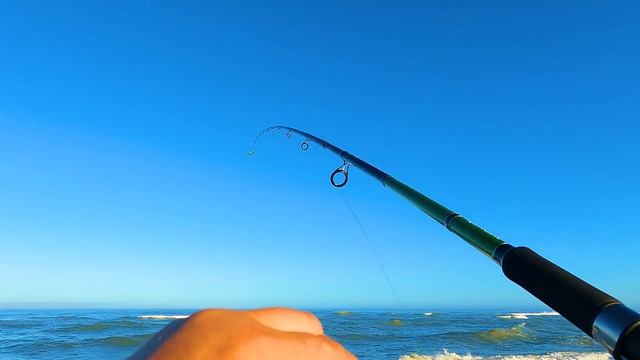 Камбала Куршской косы сошла с ума смотреть онлайн