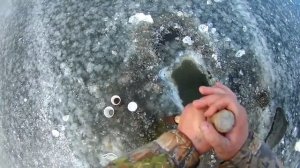 Как мыть мотыля зимой. А вы думали легко. Добываем мотыля.