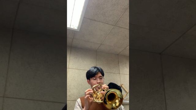 I.Stravinsky - Petroushka Trumpet Orchestra Excerpts смотреть онлайн