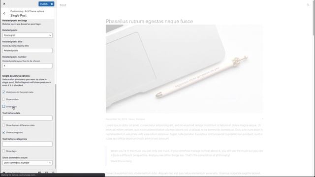 Single post options in the ExS WordPress theme смотреть онлайн