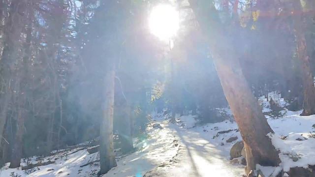 Rocky Mountains - национальный парк в Колорадо. Что посмотреть за 1 день? смотреть онлайн