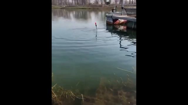 Приколы на рыбалке 2021/ДЕВУШКИ НА РЫБАЛКЕ/ Трофейная рыбалка /СЛУЧАИ НА РЫБАЛКЕ / Шок рыбалка смотреть онлайн