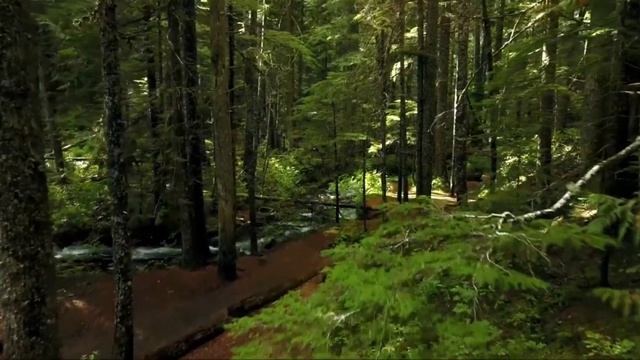 Гарри Поттер и Узник Азкабана смотреть онлайн