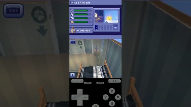 The Sims 2 Apartment Pets (DS) Gameplay смотреть онлайн