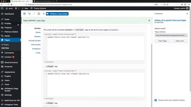 Add JavaScript to specific WordPress Posts and Pages using the Scripts n Styles Plugin смотреть онлайн