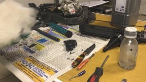 Заправка картриджа Canon 703 (Canon FX-10, HP 12A(Q2612a) )