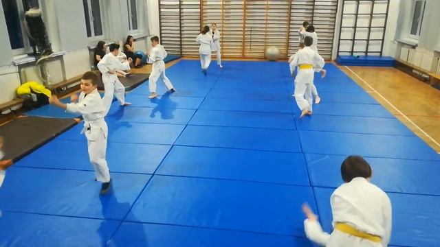 Ju Jitsu Duo System KSW ARASHI