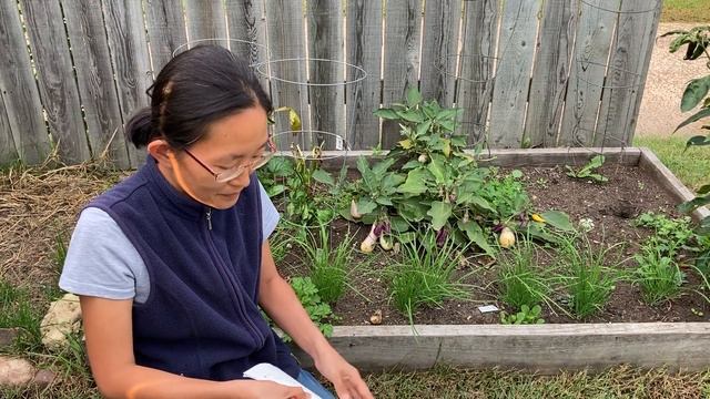 Class Diagram смотреть онлайн