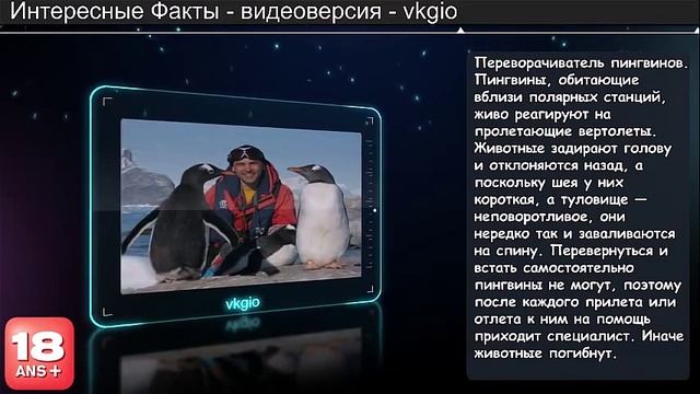 Редкие профессии. Очень интересно. смотреть онлайн