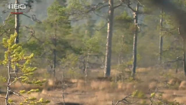 ОХОТА НА ГУСЕЙ ОСЕНЬ 2023. GOOSE HUNTING #охота #hunt смотреть онлайн