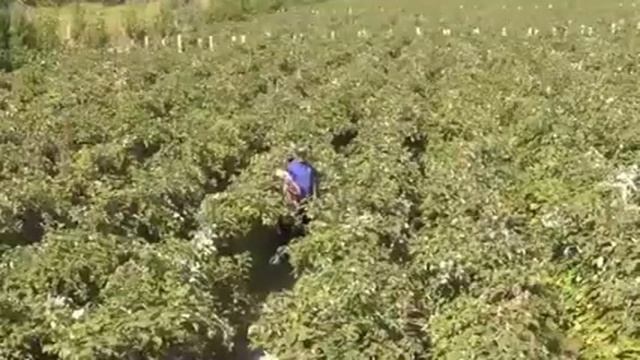 Бизнес план. Чакан бизнес - оңой жана женил бай болуу! смотреть онлайн